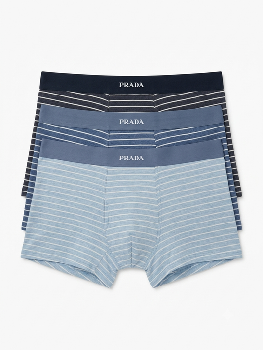 PRA Essential Striped Boxer Brief Set