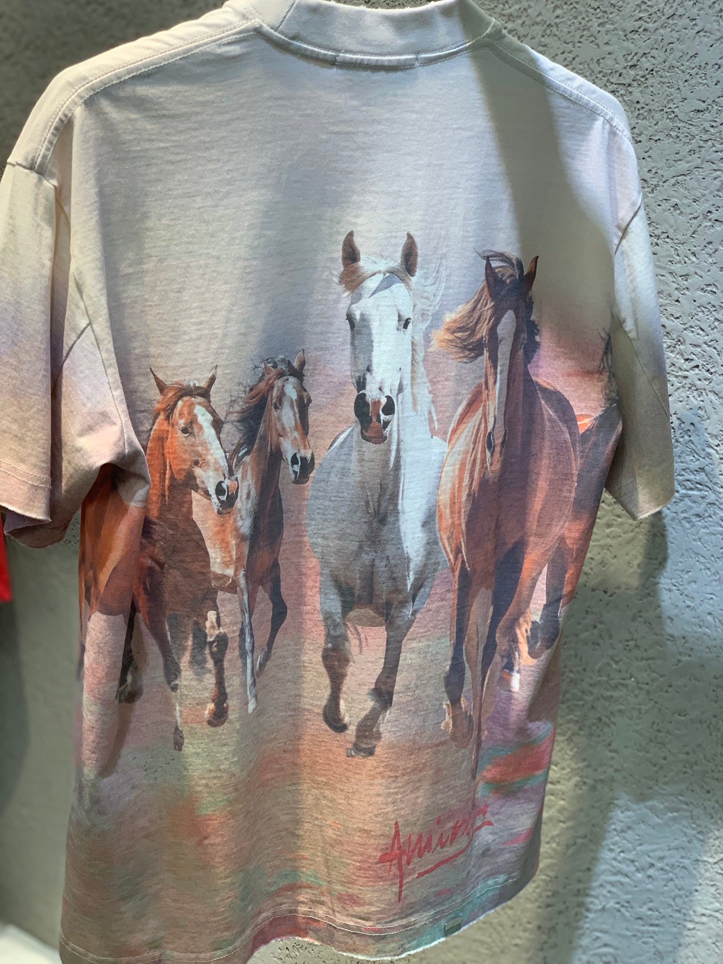 AM Equine Gallop Oversized Tee